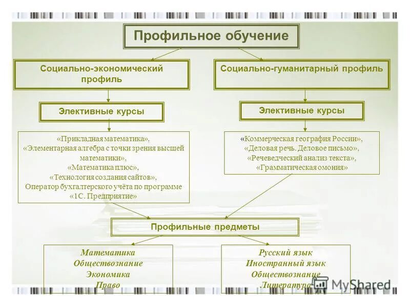 индивидуальный учебный план пример. профили обучения фгос соо. профильные предметы социально-экономического профиля. учащиеся социально экономического профиля. профили обучения.