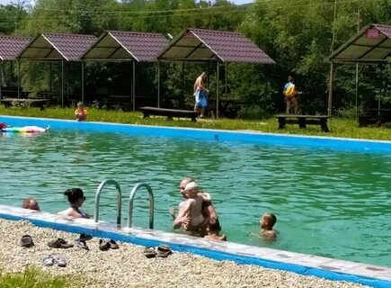 Водолей нижегородская