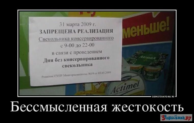 Моральные и нравственные страдания. Еж прикол. Героизм по команде бессмысленная жестокость. Наебунькал мем. 7 тысяч ежиков могут убить слона.