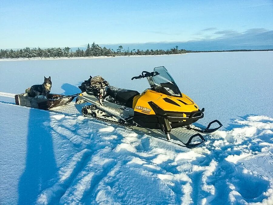 BRP Scandic 550. Снегоход Тайга 600. Снегоход стелс Каюр. Снегоход Скандик. Снегоходы хабаровском крае