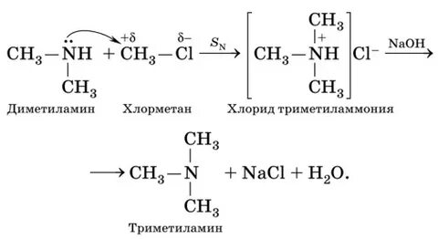 Метиламин 1 глицин