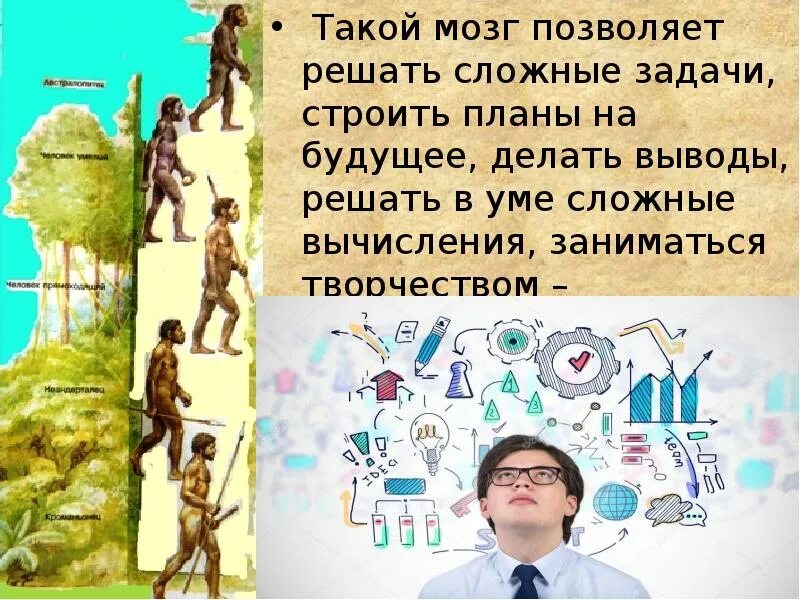 Сколько лет назад появился человек на земле. Как появился человек. Человек появился на земле. Как зародился человек. Как появилось человечество.