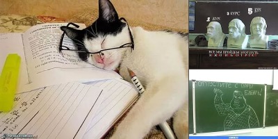 приколы про учебу