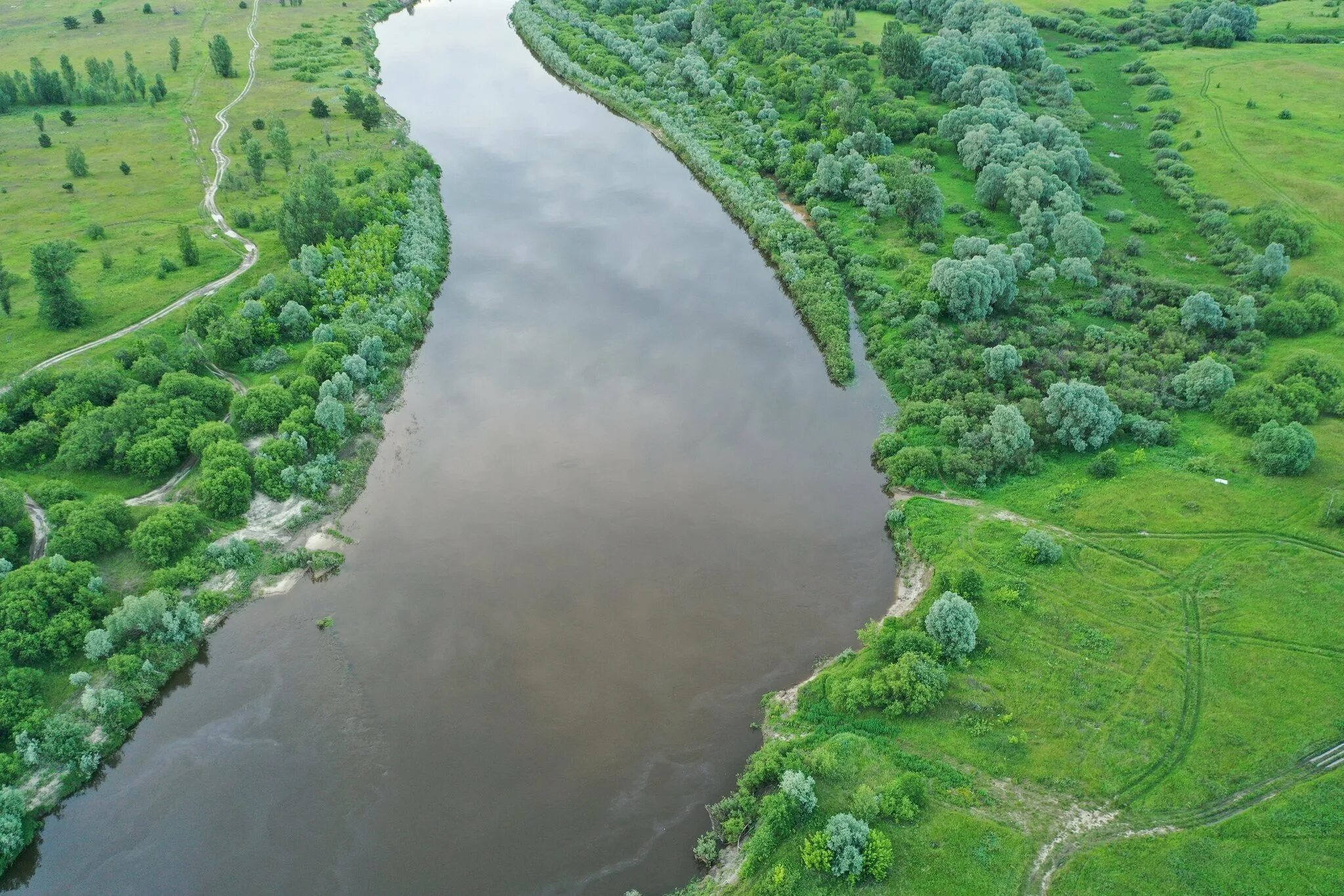 Реки сделано человеком. Река Мокша Рязанская область. Русла реки Мокша. Река Мокша в Мордовии. Река Мокша Наровчат.