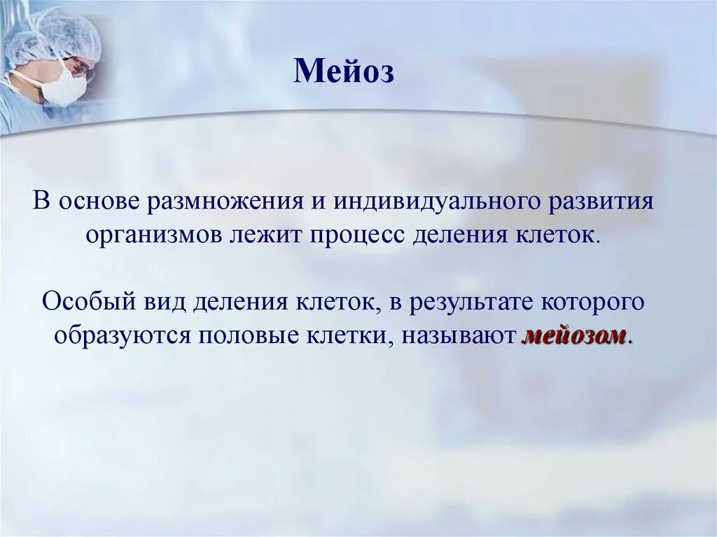 Основа размножения мейоза