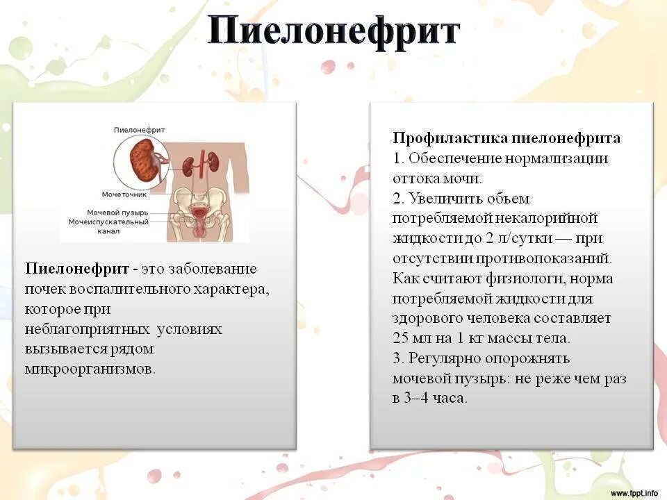 Хронический цистит пиелонефрит. Меры профилактики заболевания пиелонефритом. Пиелонефрит болезнь симптомы профилактика. Профилактика хронического пиелонефрита. Профилактика Стром пиелонефрите.