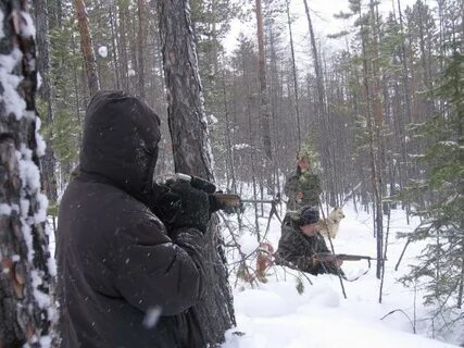 Охота на медведя зимой