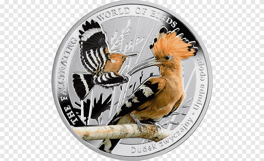 Монета с птичкой. Монеты с изображением птиц. Удод на монетах. Серебряная монета с птицей. Birds монеты