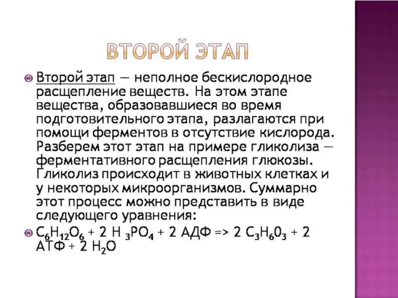 Неполное бескислородное расщепление веществ. Этапы кислородного расщепления. Где происходит полное кислородное расщепление.