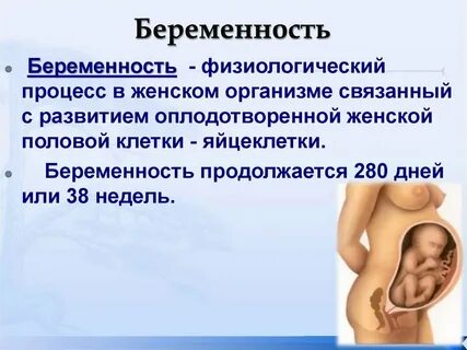 Беременность и роды 9 класс биология презентация
