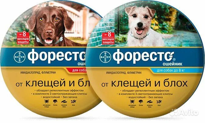 От клещей для собак минск. Ошейник для собак bayer форесто от 8кг от клещей блох. ошейник форесто до 8 кг. форесто ошейник для собак более 8. foresto ошейник 70 см.