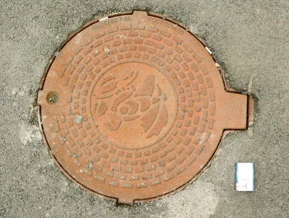 Лев люк. Лев люк. Крышка на люк лев. Люка вк. Крышка на канализационный люк.