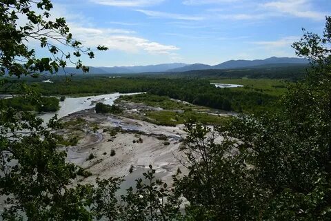 Лесная камчатский край
