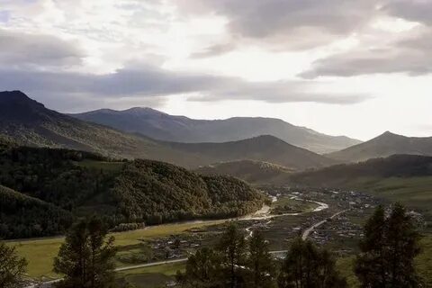 С солонешное алтайский край