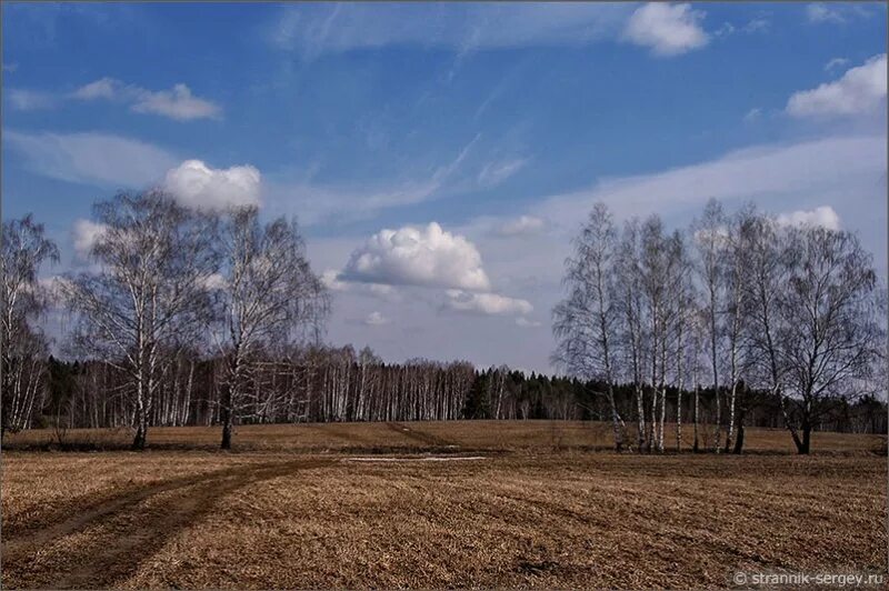 Поле весной картинки. Поле весной. Поле ранней весной. Апрельское поле.