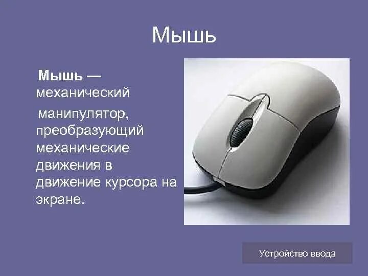 Внешнее устройство мышь. Устройства компьютера мышь. компьютерная мышка для презентации. архитектура компьютера мышь. конструкция компьютерной мышки.