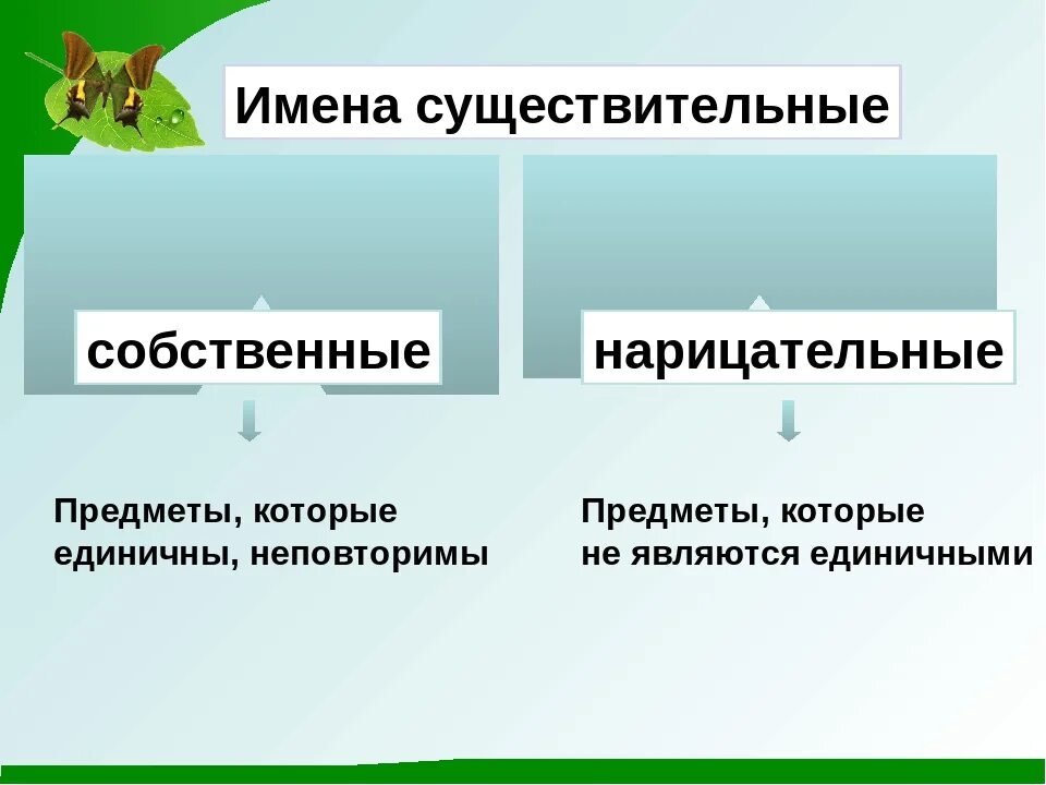 Собственное существительное определение. Нарицательные и собственные имена существенные. Собственные и нарицательные существительные. Собственные и нарицательные имена существительные. Имена собственные и нарицательные примеры.