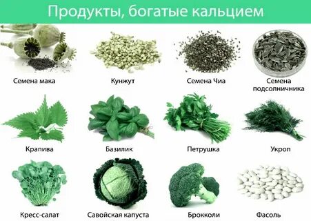 Содержание кальция в растениях