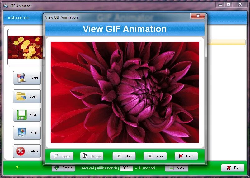 Программа для создания гифок. Gif animator. гиф аниматор. gif анимация программа. ssuite gif animator.