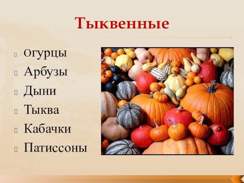 Арбуз дыня тыква. Арбуз тыква кабачок. Огуречная тыква. Тыква на бахче. Тыква пахнет огурцом сорт.