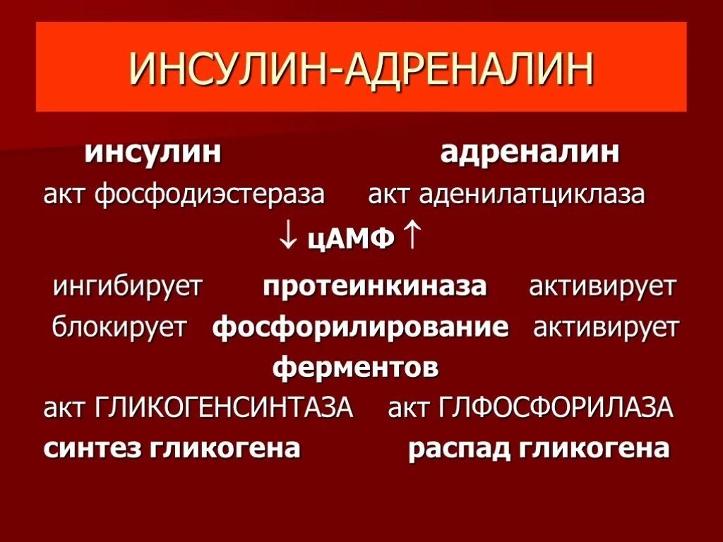 Фермент адреналина. Адреналин и сахарный диабет. Биохимия сахарного диабета биохимия. Адреналин при сахарном диабете. Адреналин и инсулин.