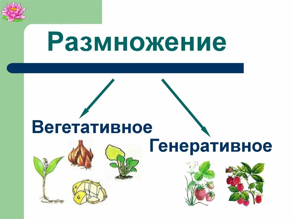 Генеративный способ