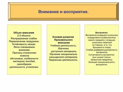 Влияние речи на развитие восприятия