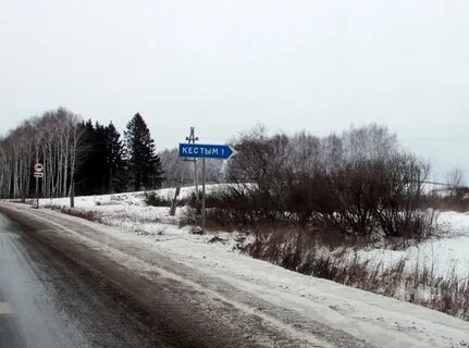 Погода в кестыме на 10 дней