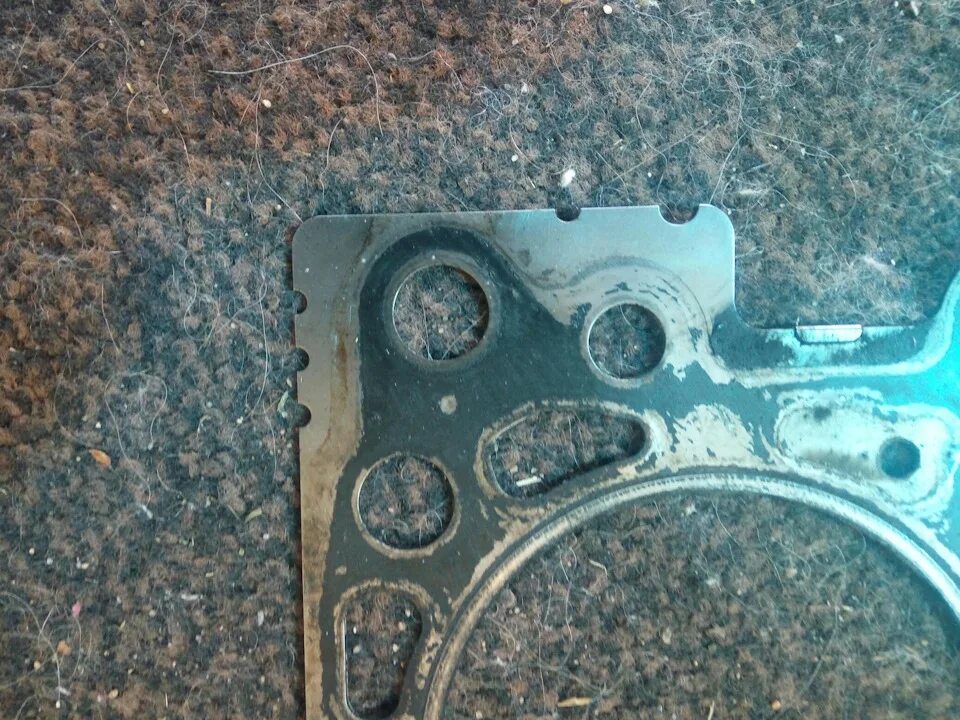 Прокладка гбц 238. 11044-50a00. Прокладка гбц qr20de. Kp03011a gasket. Прокладка гбц nissan vk505.