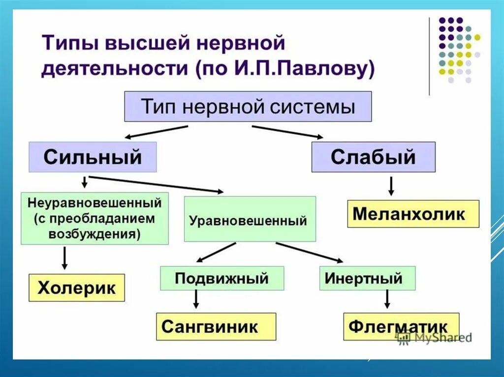 Типы высшей нервной деятельности ВНД. Типы нервной системы по Павлову. Тип нервной деятельности схема. Схема типы высшей нервной системы. Свойствами центральной нервной системы