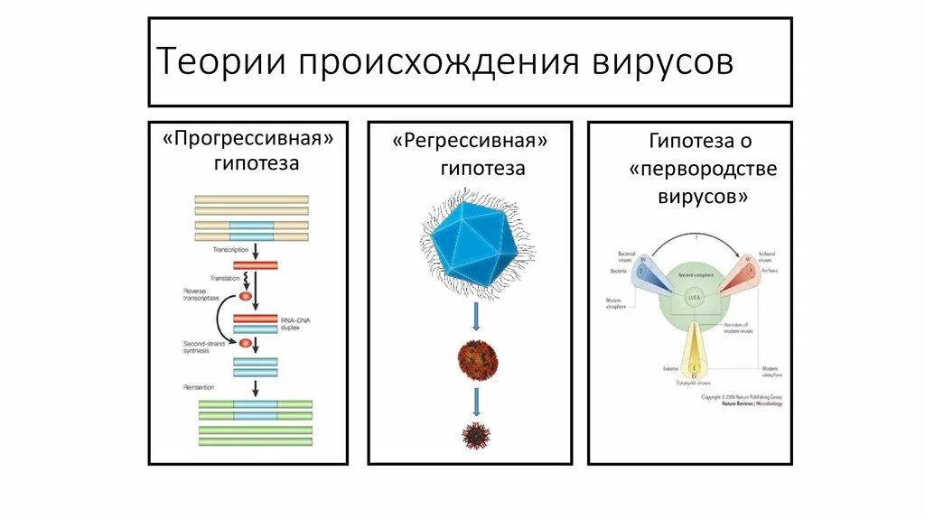 Гипотеза вирусов. Регрессивная теория происхождения вирусов. Гипотезы происхождения вирусов. Вирусы Эволюция происхождение. Гипотезы происхождения вирусов кратко.