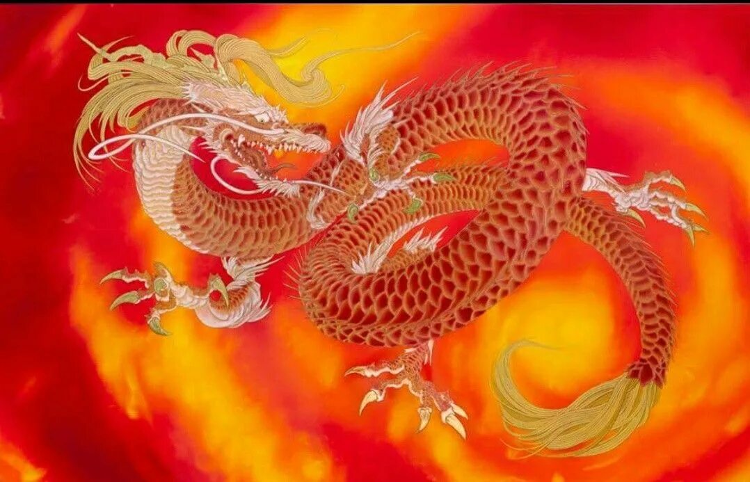 Тяньлун Небесный дракон. Китайская мифология Тяньлун. Дилун китайский дракон. Китайский дракон чиа. Китайский японский дракон