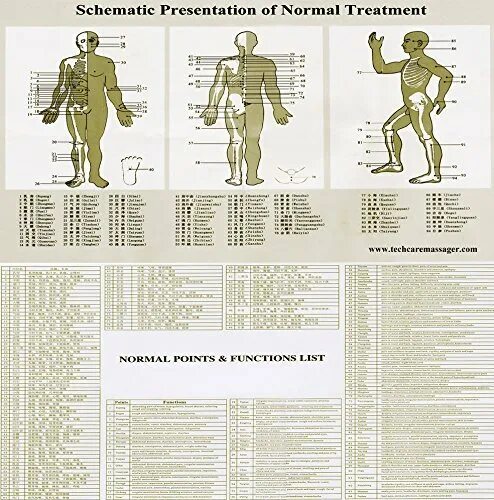 Normal points. Инструкция schematic presentation of normal massage points. normal points and functions list инструкция на русском. normal points functions list инструкция на русском языке. schematic presentation of normal massage points инструкция на русском.