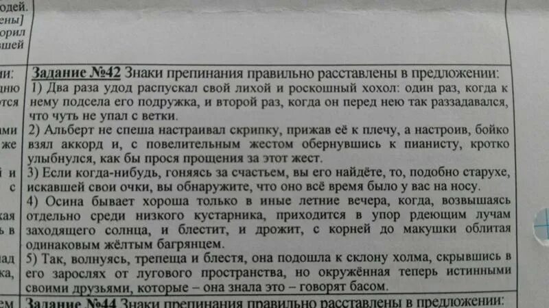 Осина бывает хороша только в иные. Осина бывает хороша только в иные