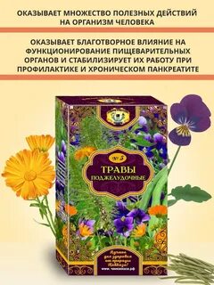 Самые лучшие травы для поджелудочной