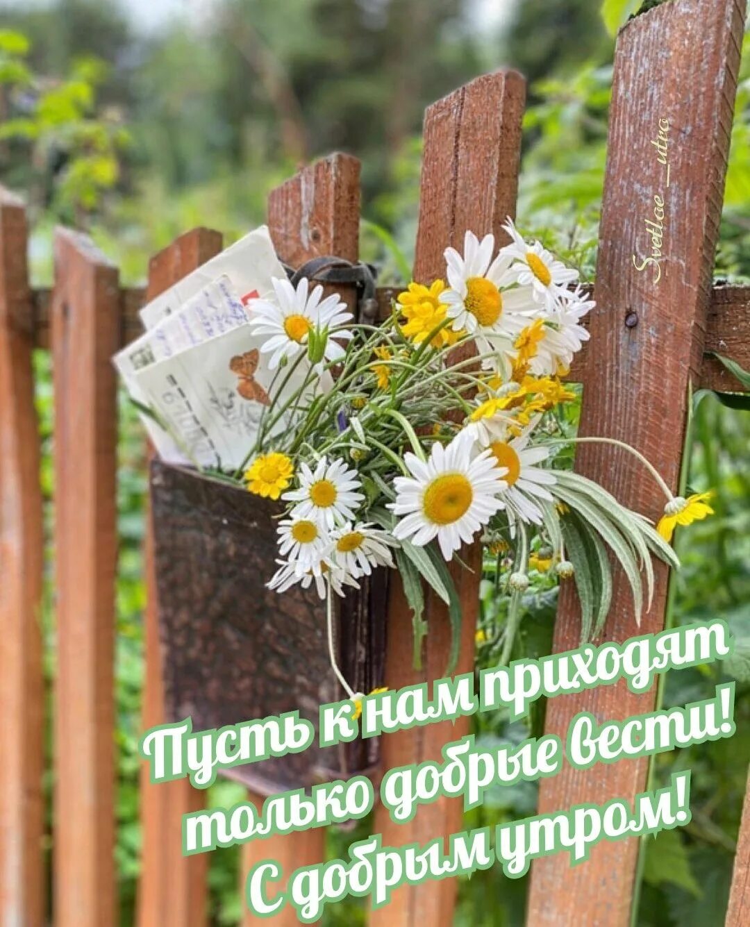 Августовское доброе утро позитивные открытки. Радостного утра и гармоничного дня. открытки с добрым утром необычные оригинальные. радостных событий и доброго утра. доброго летнего утра и хорошего дня.