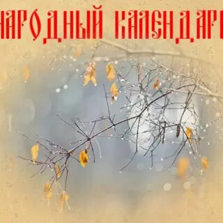 Картинки с праздником день 21 ноября