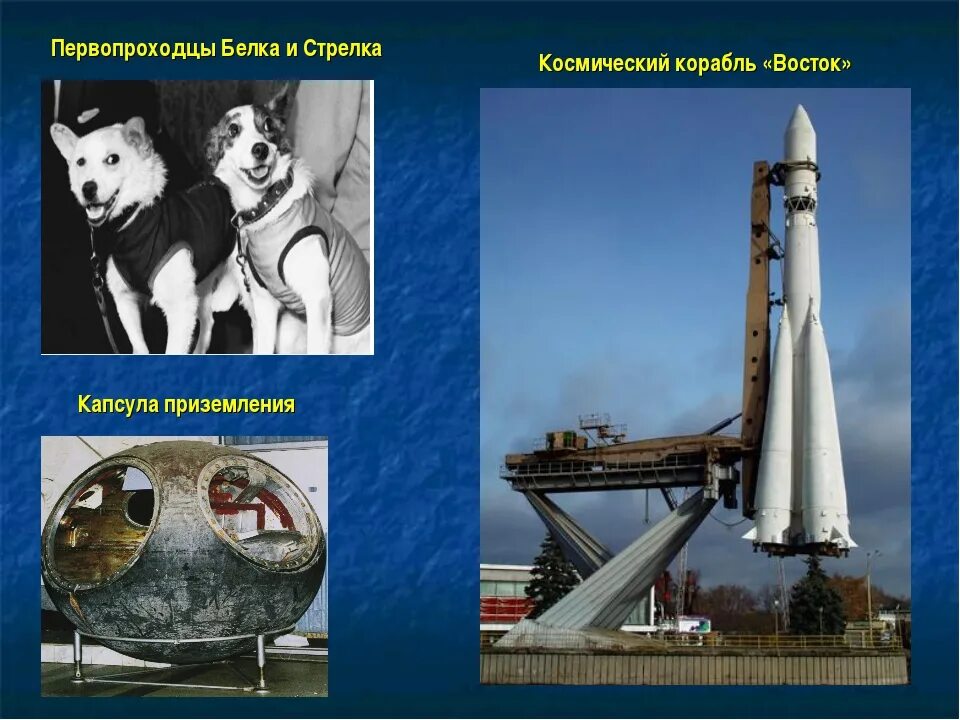 Ракета полетела в космос. Ракеты которые полетели в космос. 1957 лайка в космосе. Собака лайка на спутнике 2. Ракеты которые полетели в космос.