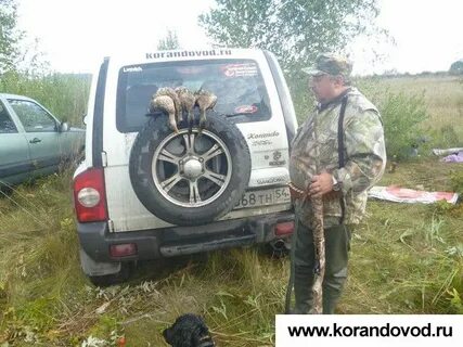 Форум корандоводов