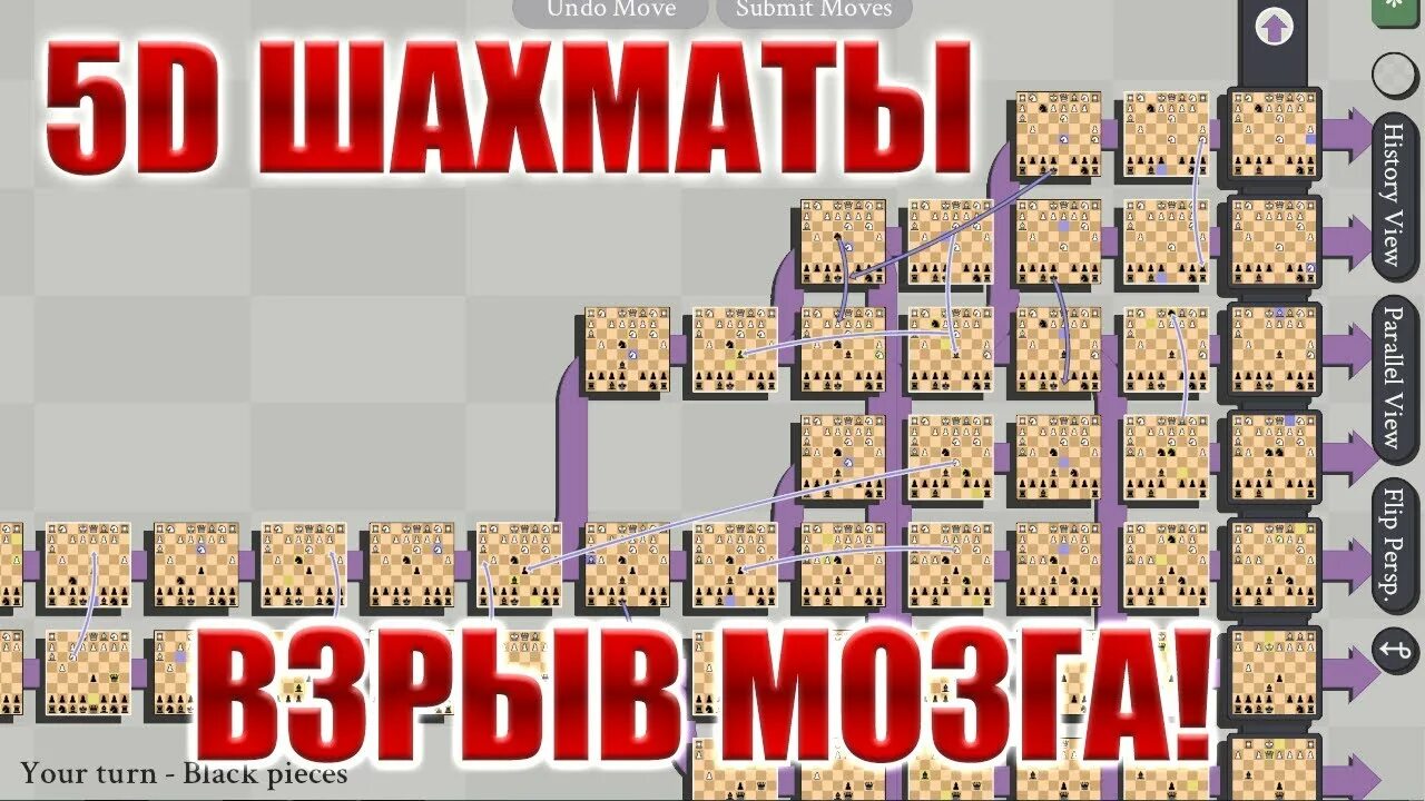 5d chess with multiverse time travel. 5д шахматы. 5д шахматы с путешествиями во времени. 5d шахматы с путешествием во времени. 5d chess with multiverse time travel русификатор.