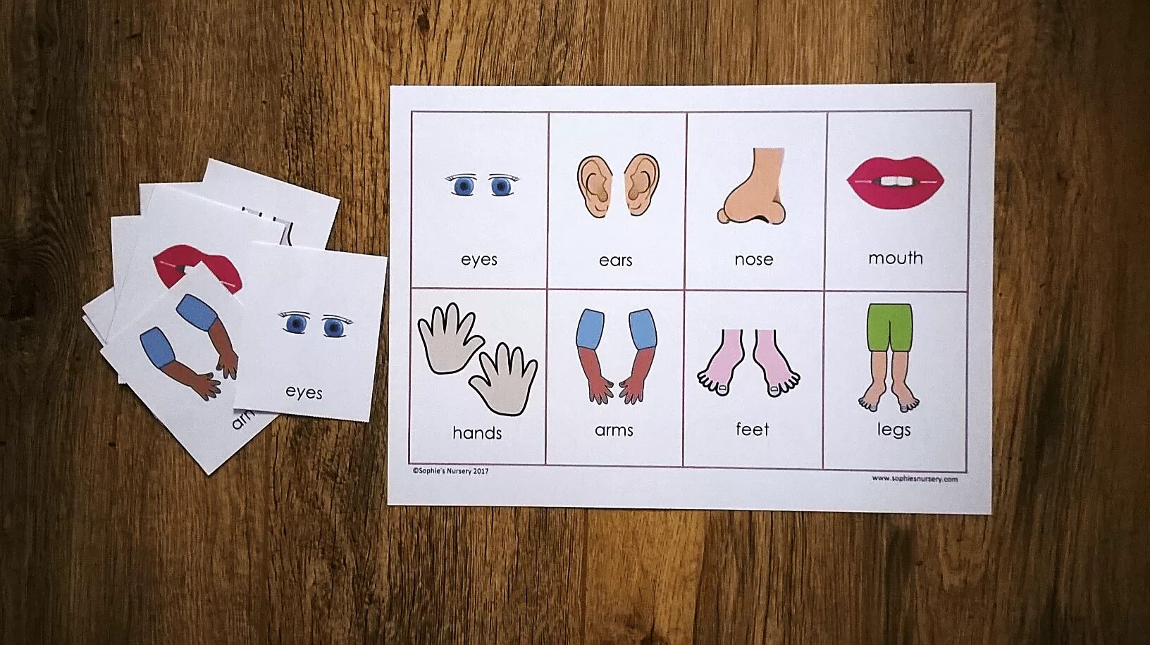 Toes произношение. Parts of the body карточки. Бинго части тела на английском. Body Parts Memory. Body Parts Bingo for Kids.