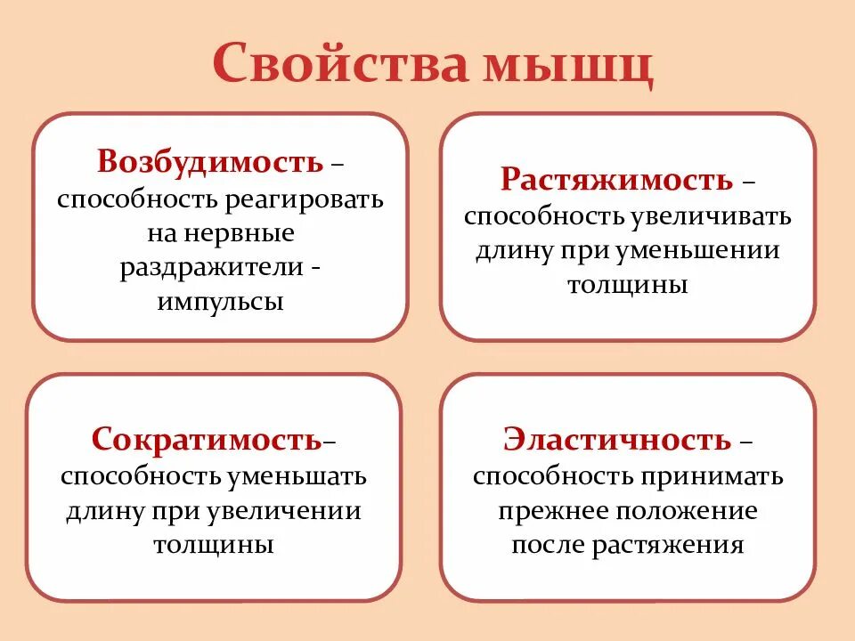 Свойства мышц. Основные свойства мышц. Сократимость как основное свойство мышц. Возбудимость и сократимость.