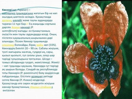 Аталарымен жыныстық қатынас туралы порно көру