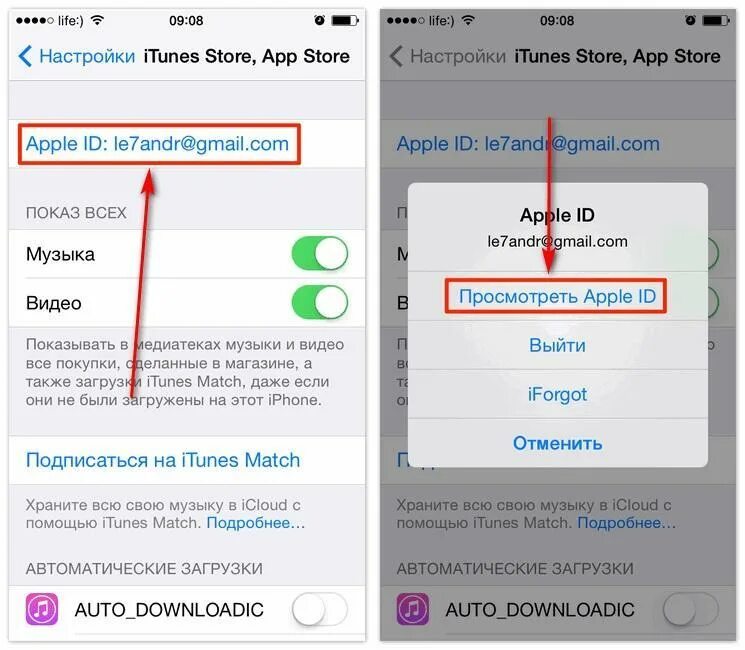 Айфон просит пароль от другой учетной записи. Учетная запись apple id. что такое apple id на айфоне 6s. где находится apple id в айфоне 11. apple id iphone 13.