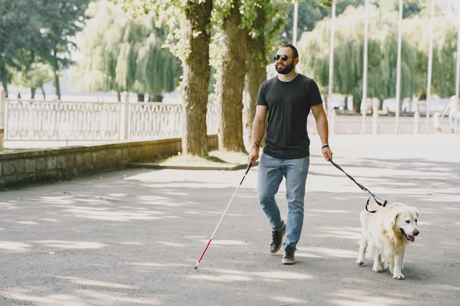 Blind man saving lady jogger