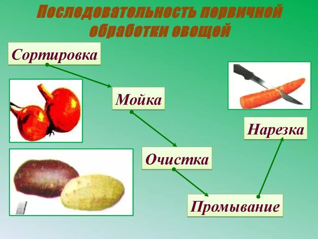 Обработка продуктов овощи. Схема механической кулинарной обработки плодовых овощей. Технология механической кулинарной обработки овощей. Первичная обработка. Первичная обработка овощей.