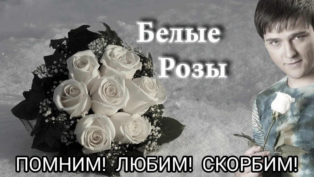 Белая память песня. Вечная память белые розы. Плачут белые розы памяти Юрия Шатунова. Белые розы плачут.