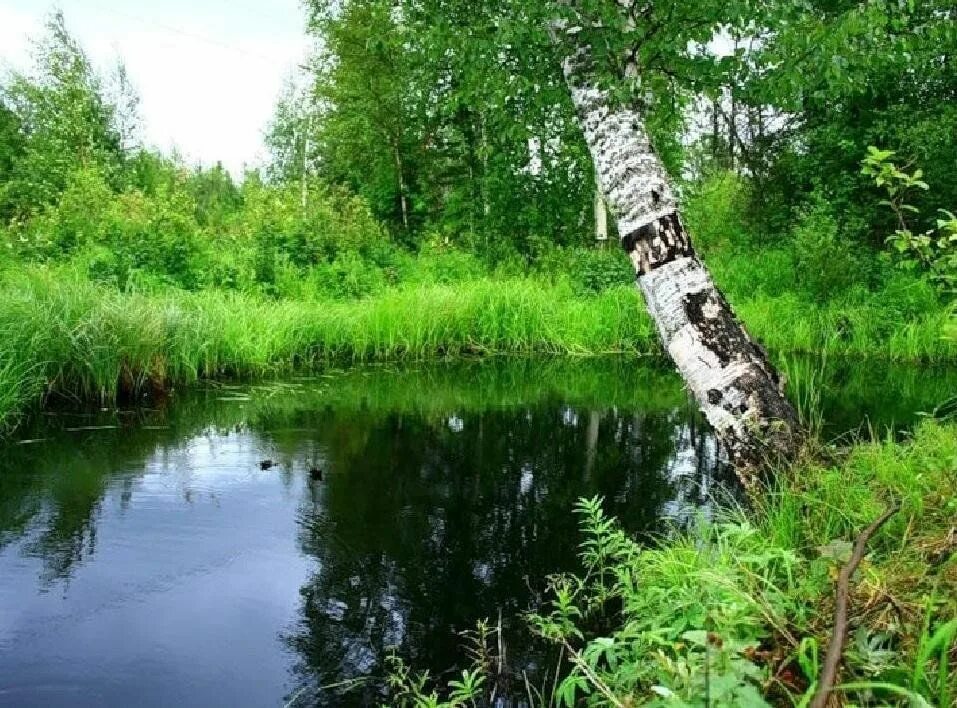 Непосредственно природная среда первая природа. Природе его осталось на. Природе его осталось на. Защита природы. Забота о природе.