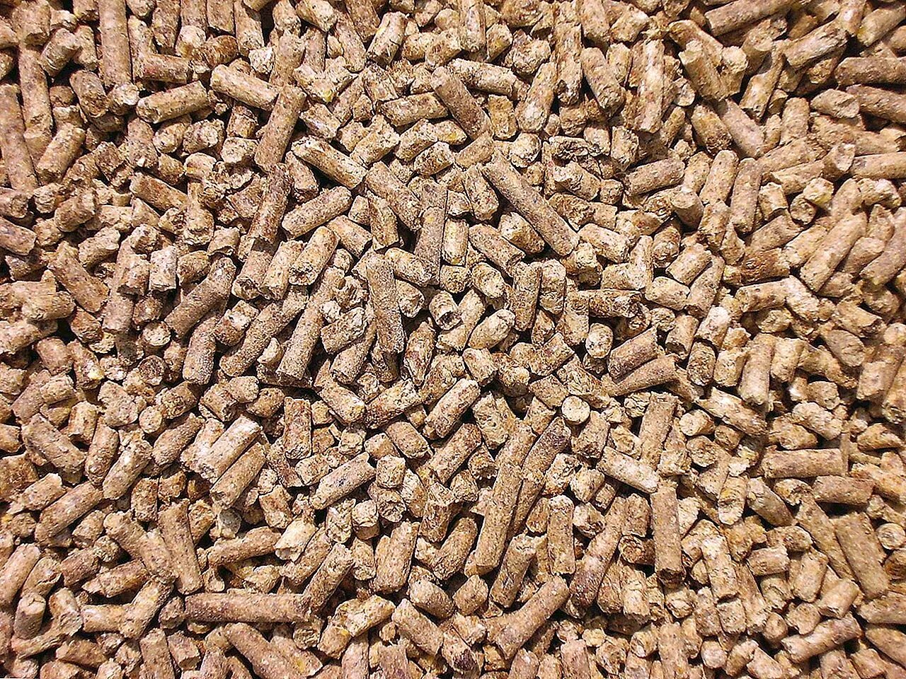 Производство отрубей. Отруби пшеничные в гранулах. Сухая гранулированная пивная Дробина. Отруби пшеничные кормовые для животных. Отруби пшен чные гранулированные.