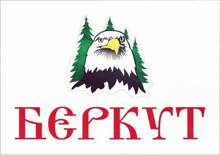 Беркут сургут